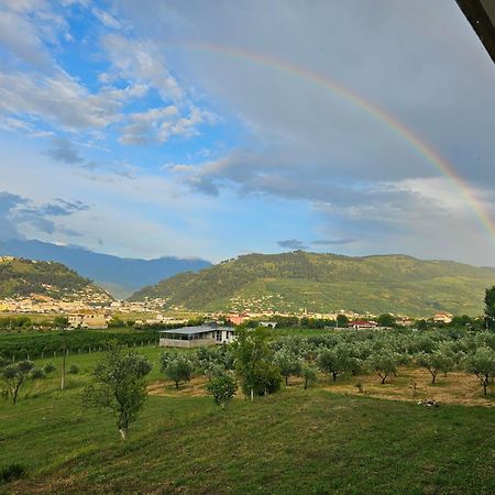 Guesthouse Iljaz Берат Экстерьер фото